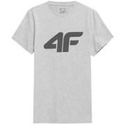 4F M TSHIRT COLD LIGHT GREY ΓΚΡΙ 4F M TSHIRT COLD LIGHT GREY ΓΚΡΙ