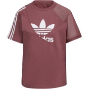 ADIDAS TEE ΜΠΟΡΤΝΩ ADIDAS TEE ΜΠΟΡΤΝΩ