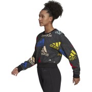 ADIDAS W BLUV Q3 SWT G MULTICOLOR ADIDAS W BLUV Q3 SWT G MULTICOLOR