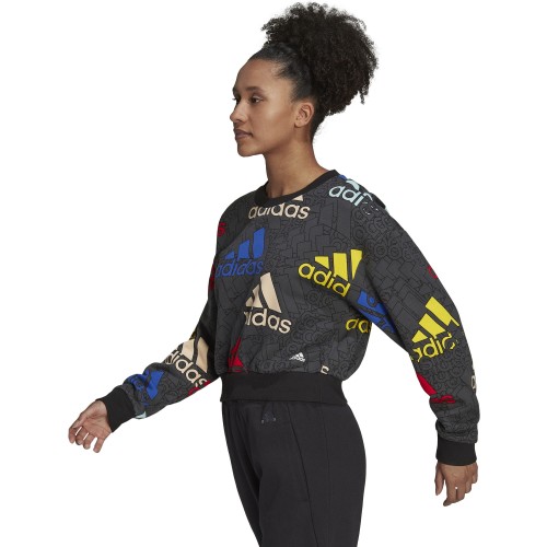 ADIDAS W BLUV Q3 SWT G MULTICOLOR ADIDAS W BLUV Q3 SWT G MULTICOLOR